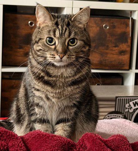 Muki